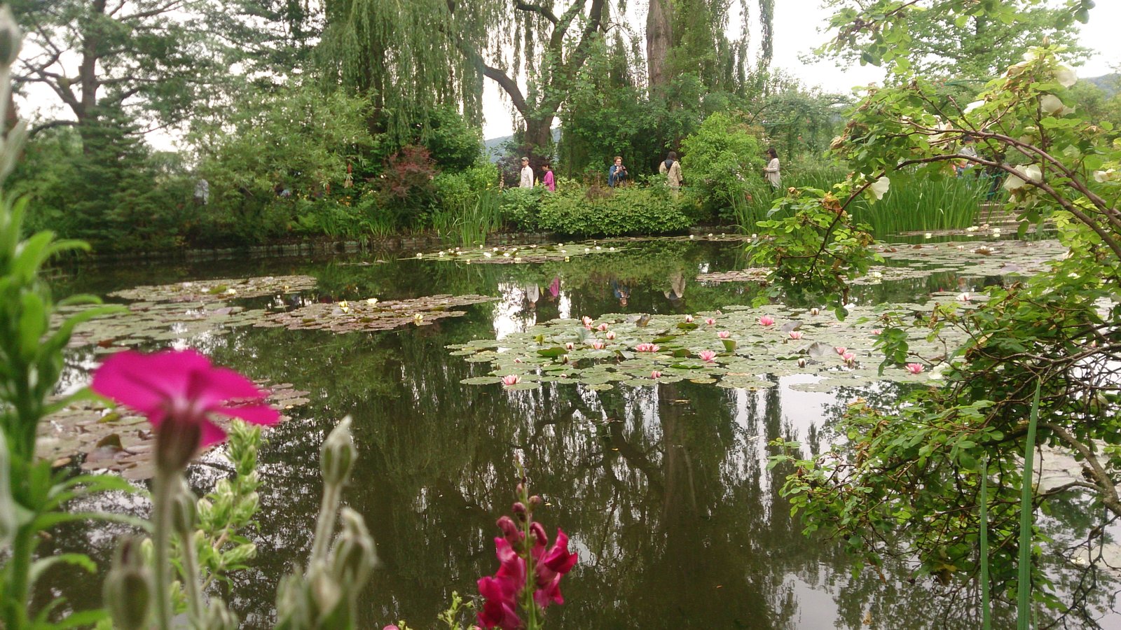 como são os jardins de Monet