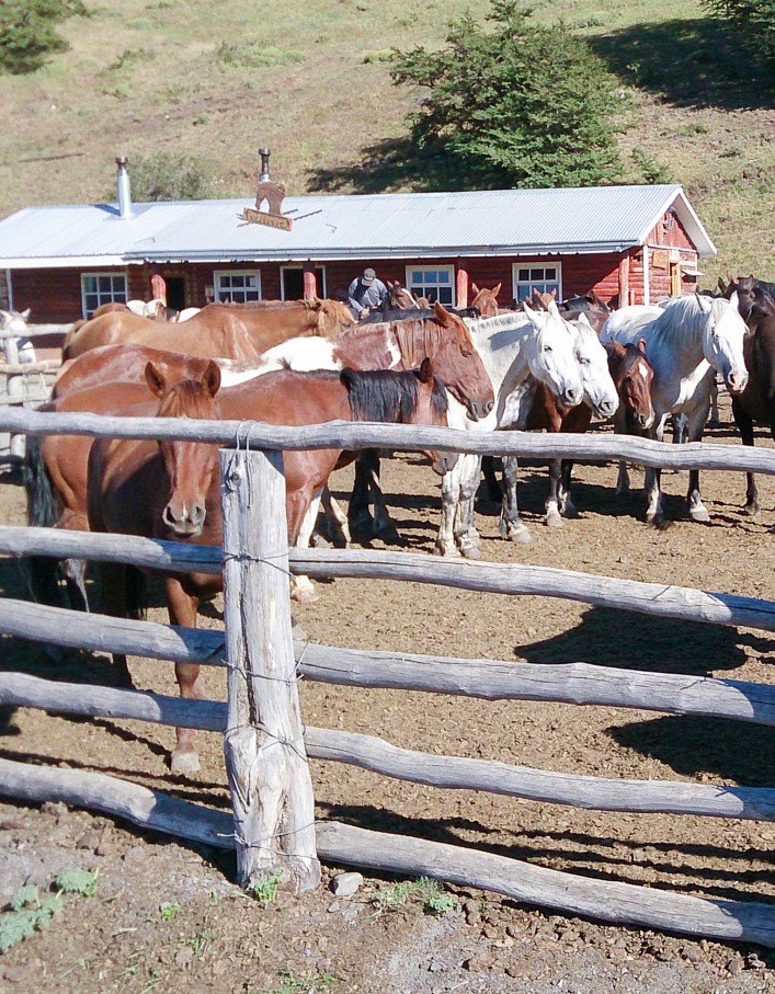 Las Torres horses-2467